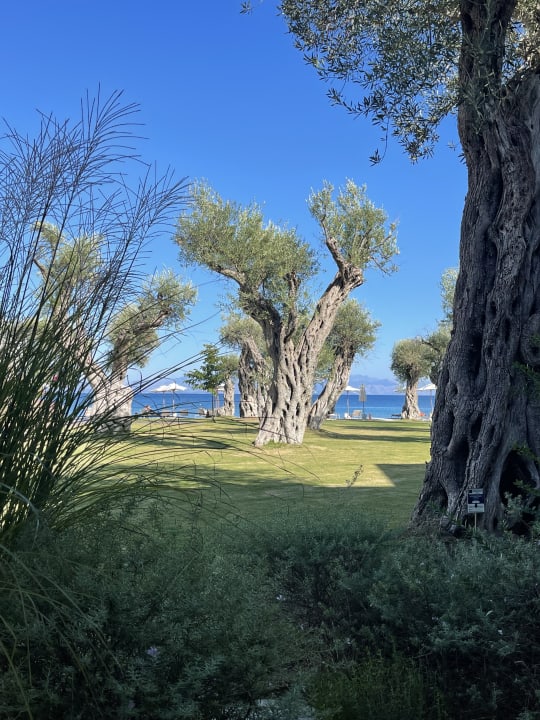 Zimmer Domes Miramare, a Luxury Collection Resort, Corfu