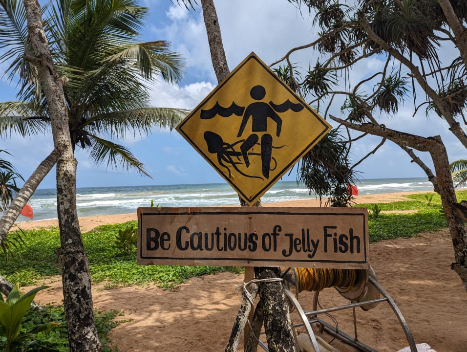 Strand Pandanus Beach Resort & Spa