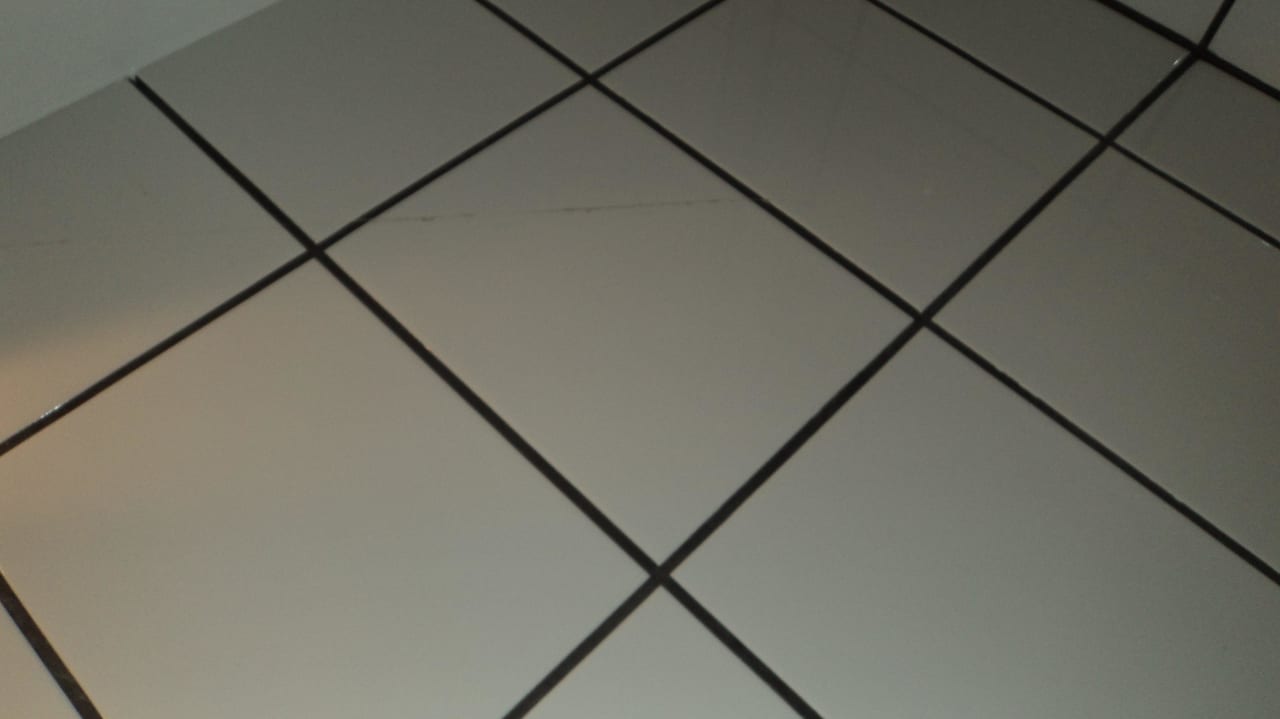 Spinnenweben Avila Park