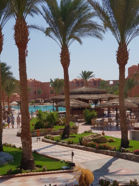 Pool Jaz Makadi Oasis Resort