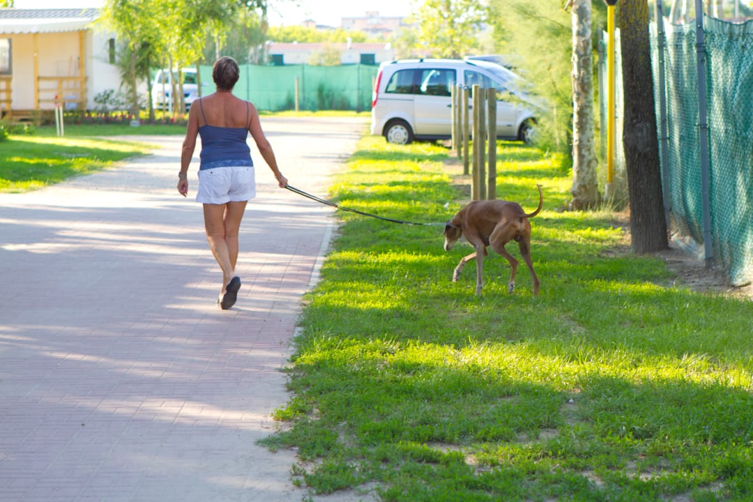 Sonstiges Camping Village Miramare