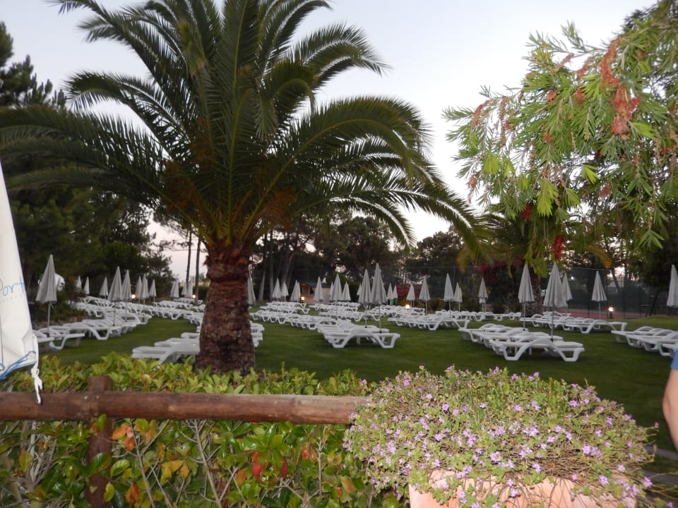 Poolwiese PortoBay Falésia