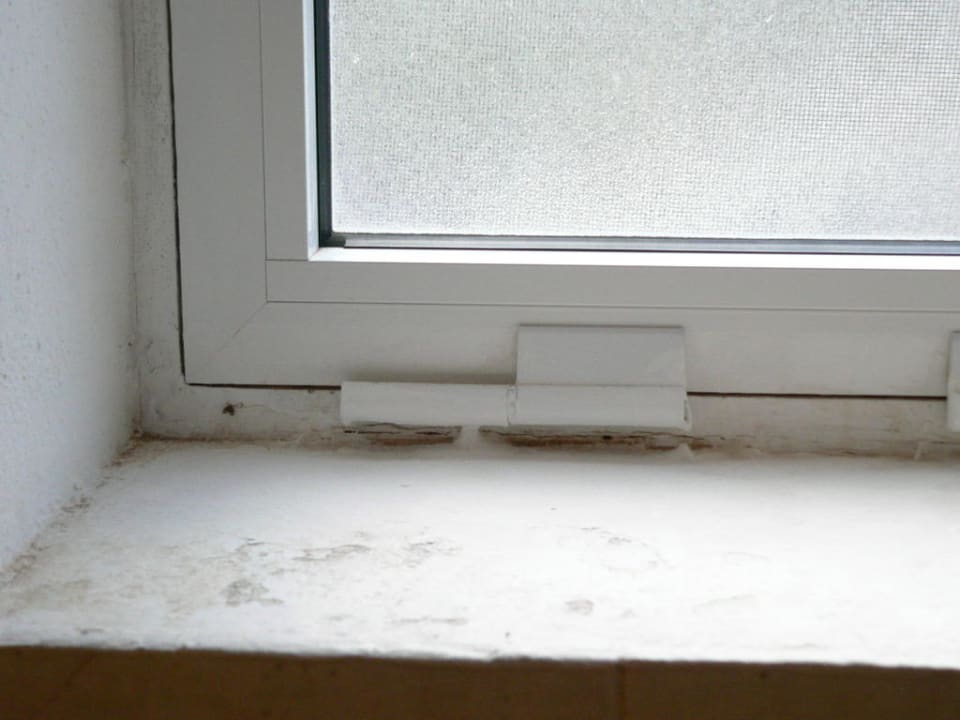 Bad Club Jandia Princess