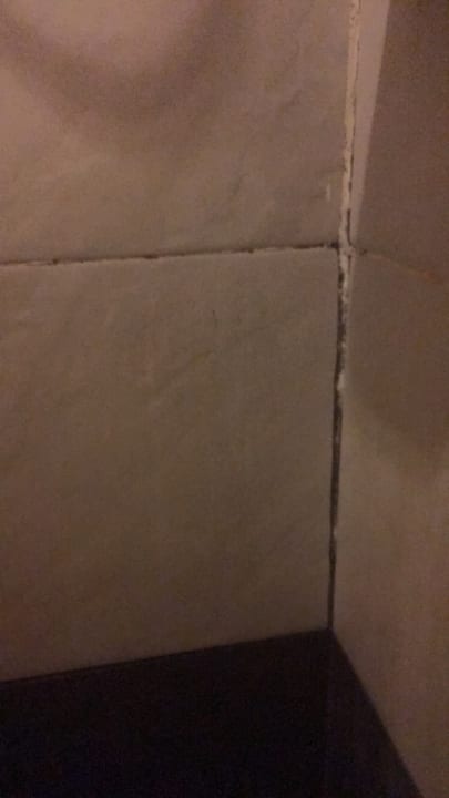 Pool Hotel Honey Inn