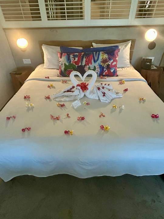 Zimmer Zilwa Attitude