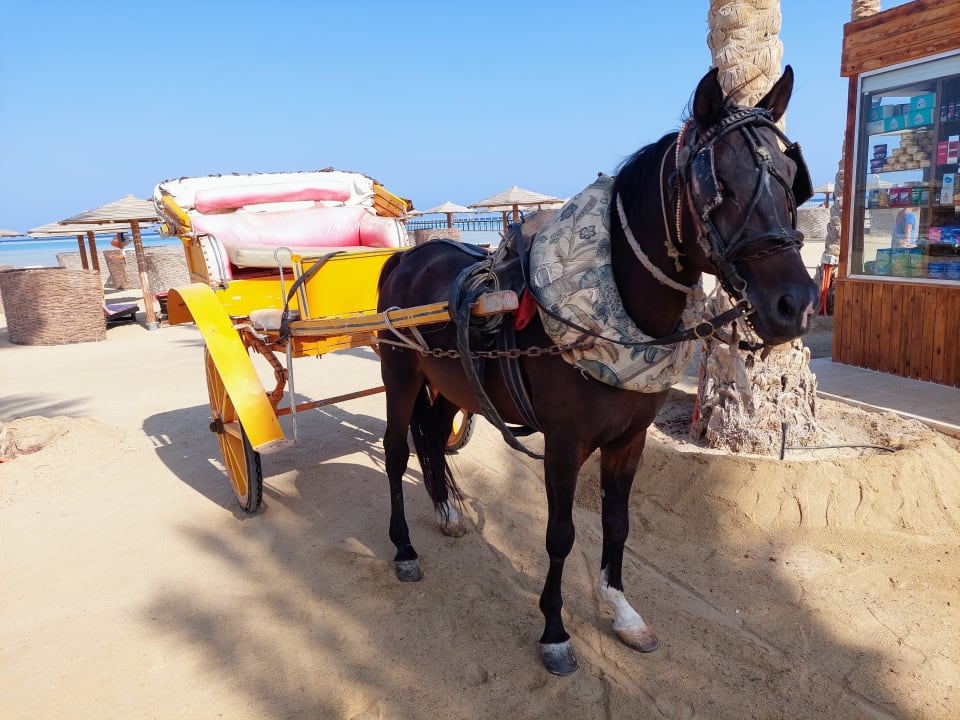 Strand Casa Mare Resort