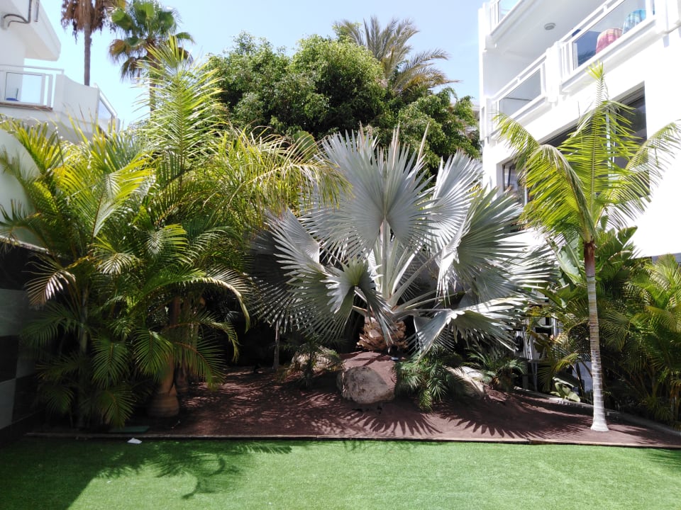 Gartenanlage LABRANDA Marieta - Adults only