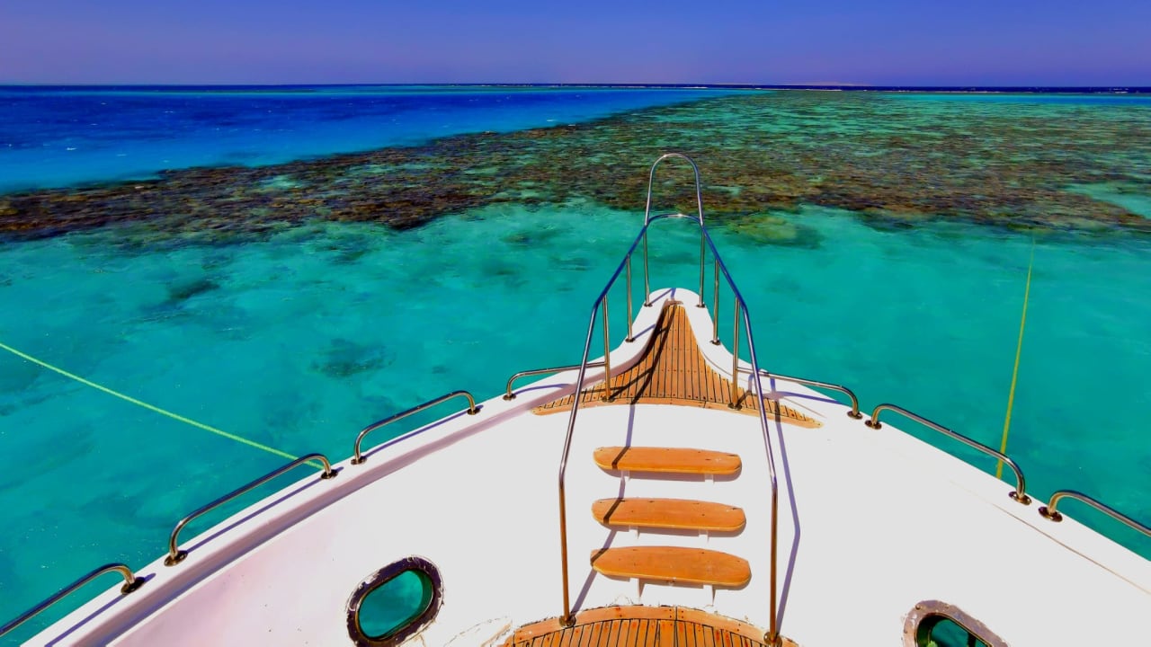 Außenansicht Desert Rose