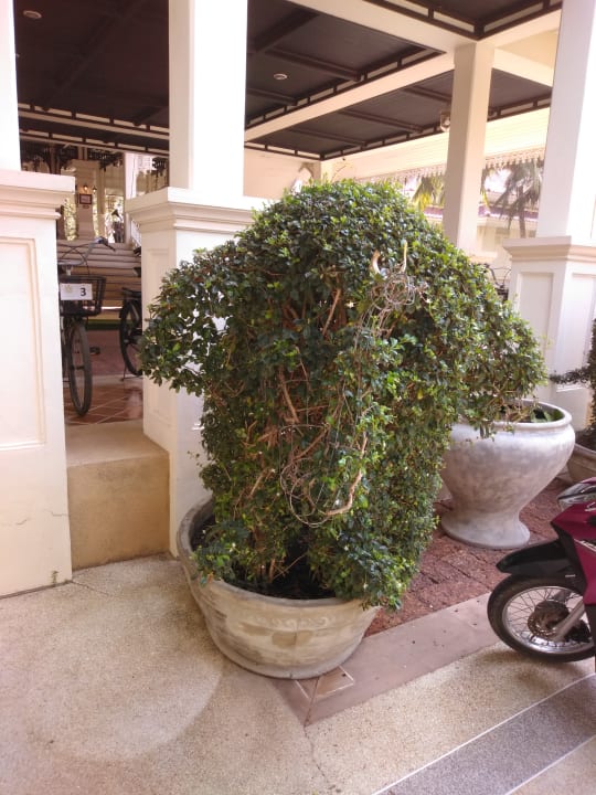 Lobby Wora Bura Hua Hin Resort & Spa