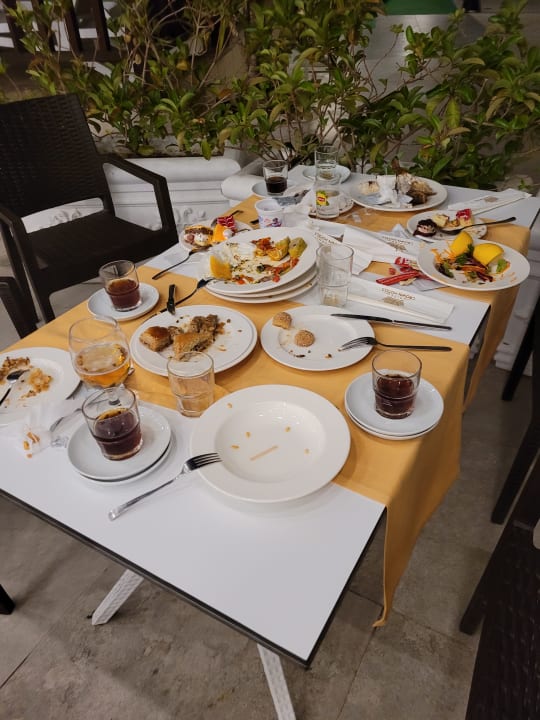 Gastro Seashell Vega