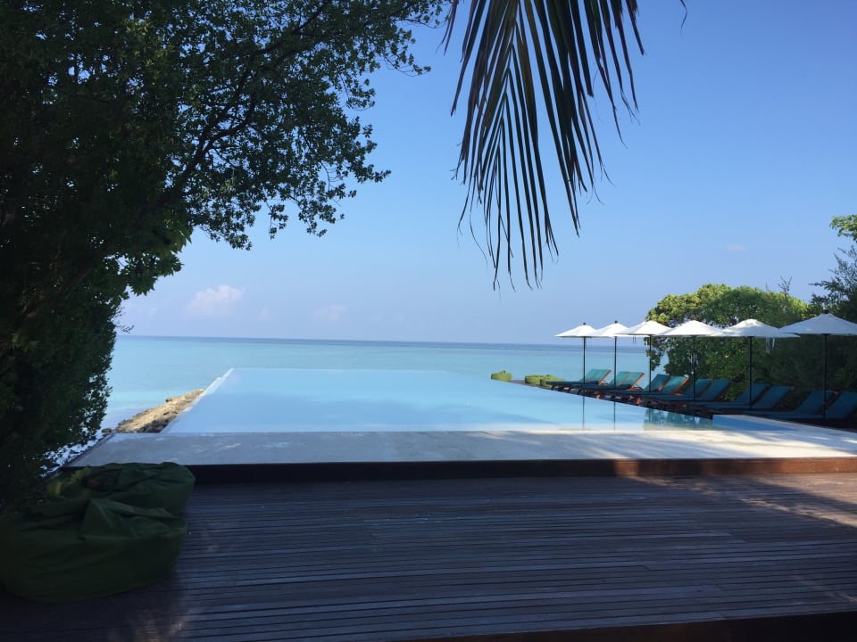 Pool Summer Island Maldives