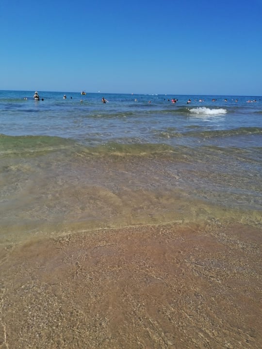 Strand Cactus Beach
