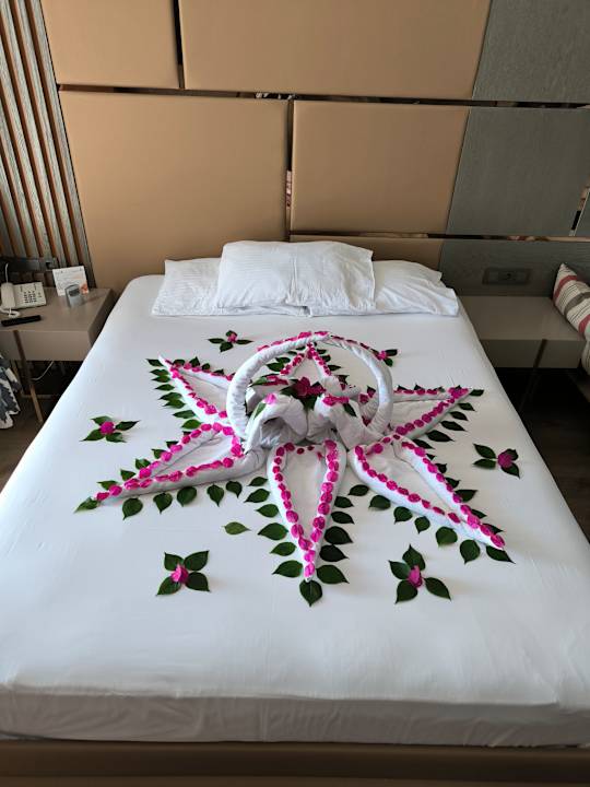 Zimmer Arycanda Kirman Premium