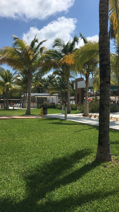 Gartenanlage Hotel Riu Playacar
