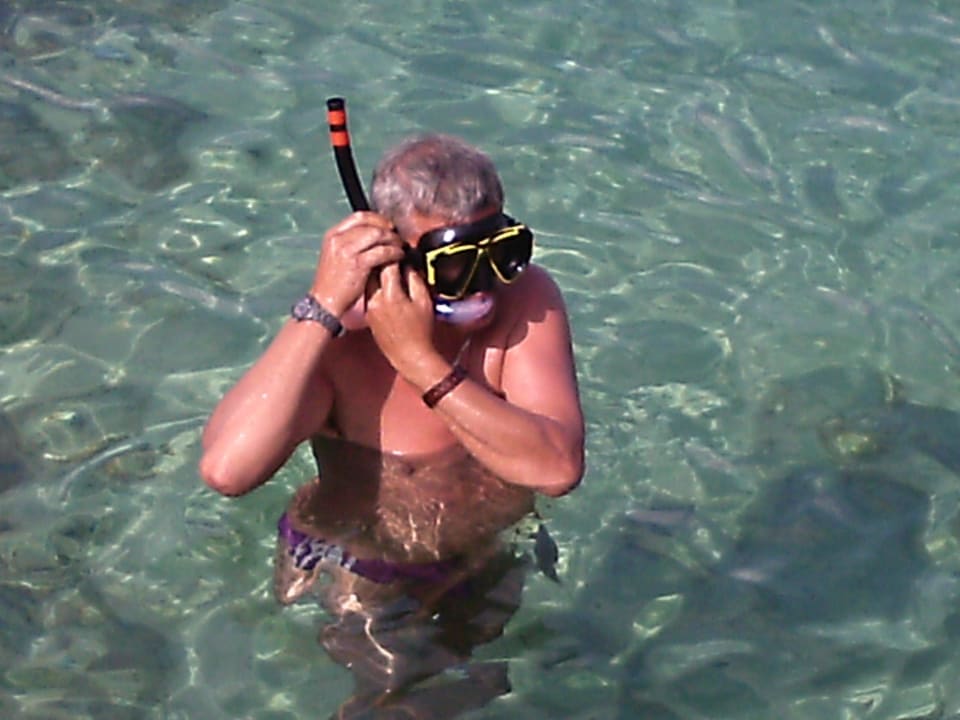 Unbedingt Schnorchel und Taucherbrille mit nehmen Hotel El Mouradi Djerba Menzel