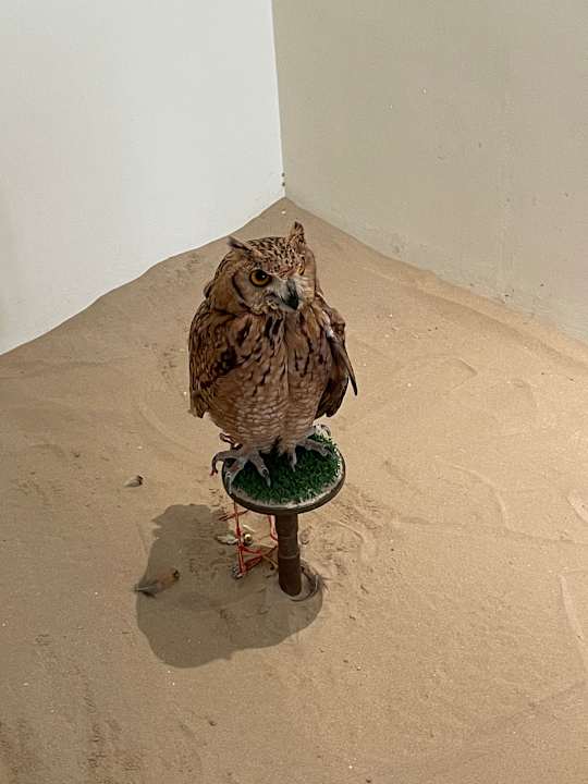 Sonstiges Al Wathba, a Luxury Collection Desert Resort & Spa, Abu Dhabi