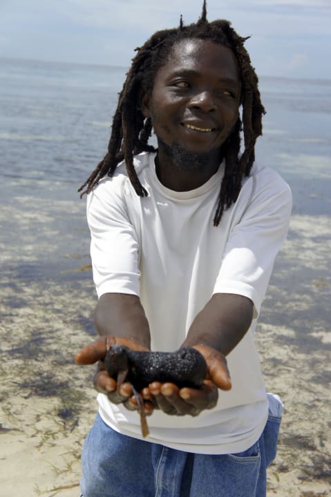 Tubylec z czarną kiełbasą morską PrideInn Flamingo Beach Resort & Spa