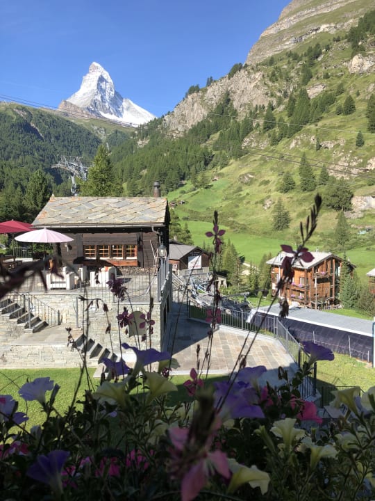Gartenanlage Hotel Berghof
