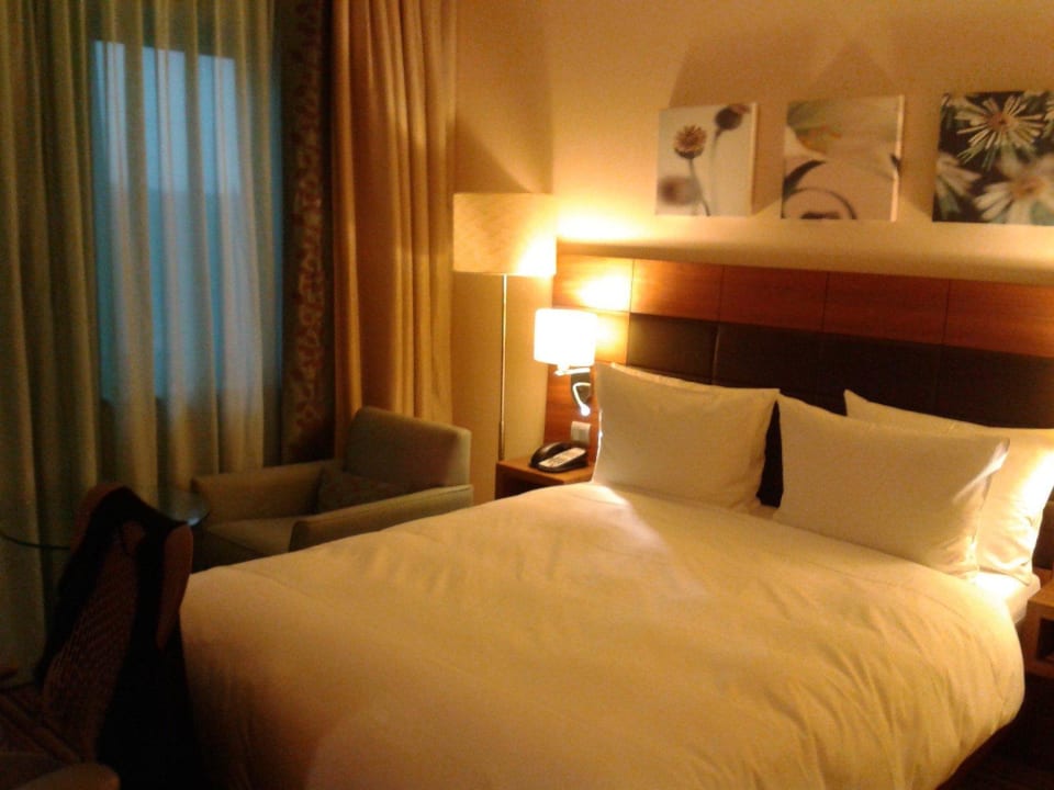 Ansicht des Zimmers Hilton Garden Inn Frankfurt Airport