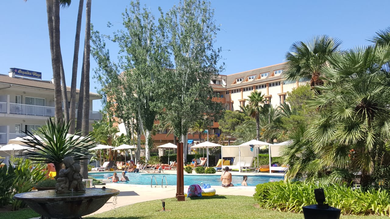 Pool allsun App.-Hotel Orquidea Playa