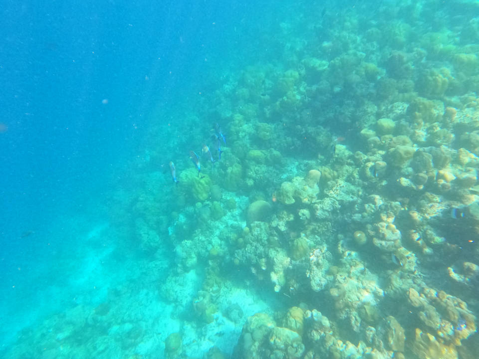 Sport & Freizeit Adaaran Select Meedhupparu Island Resort - Premium All Inclusive