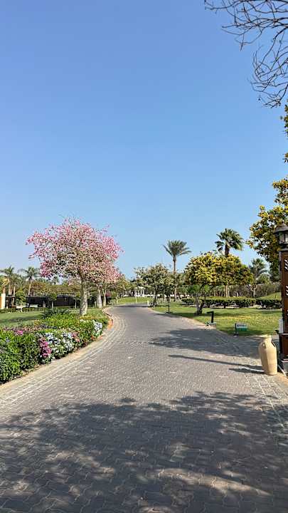 Gartenanlage Steigenberger Aqua Magic