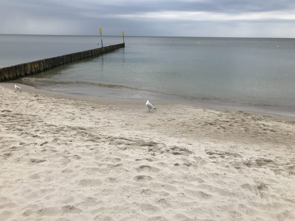 Strand Marine Hotel by Zdrojowa