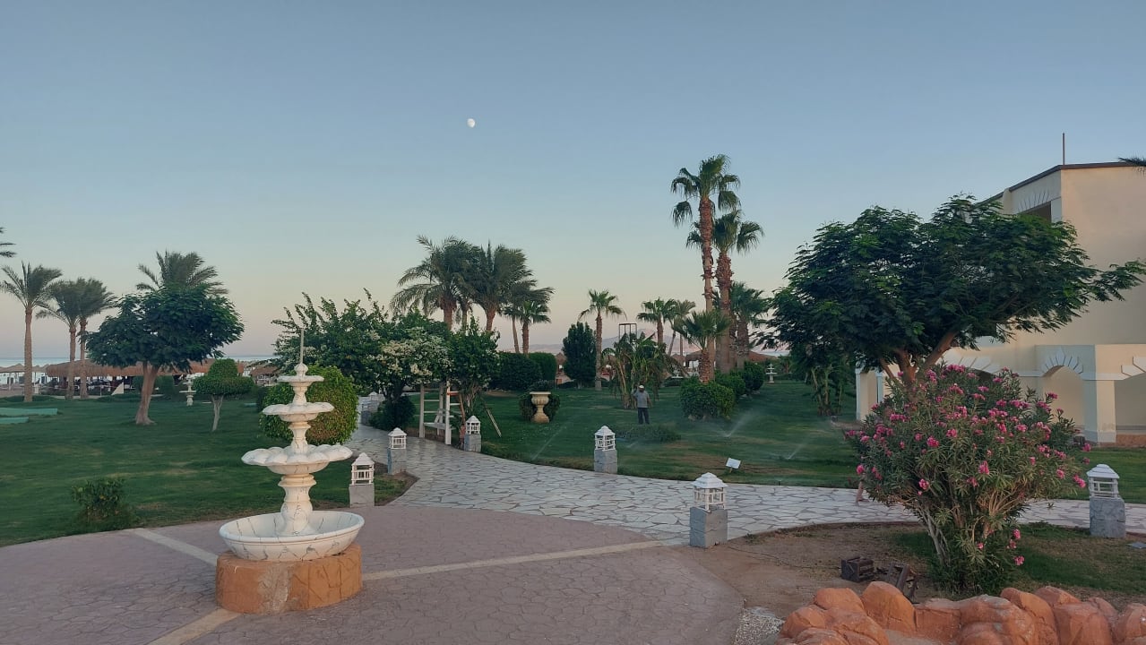 Gartenanlage Regency Plaza Aqua Park & Spa