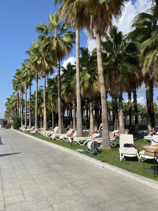 Strand Hotel Miramare Beach