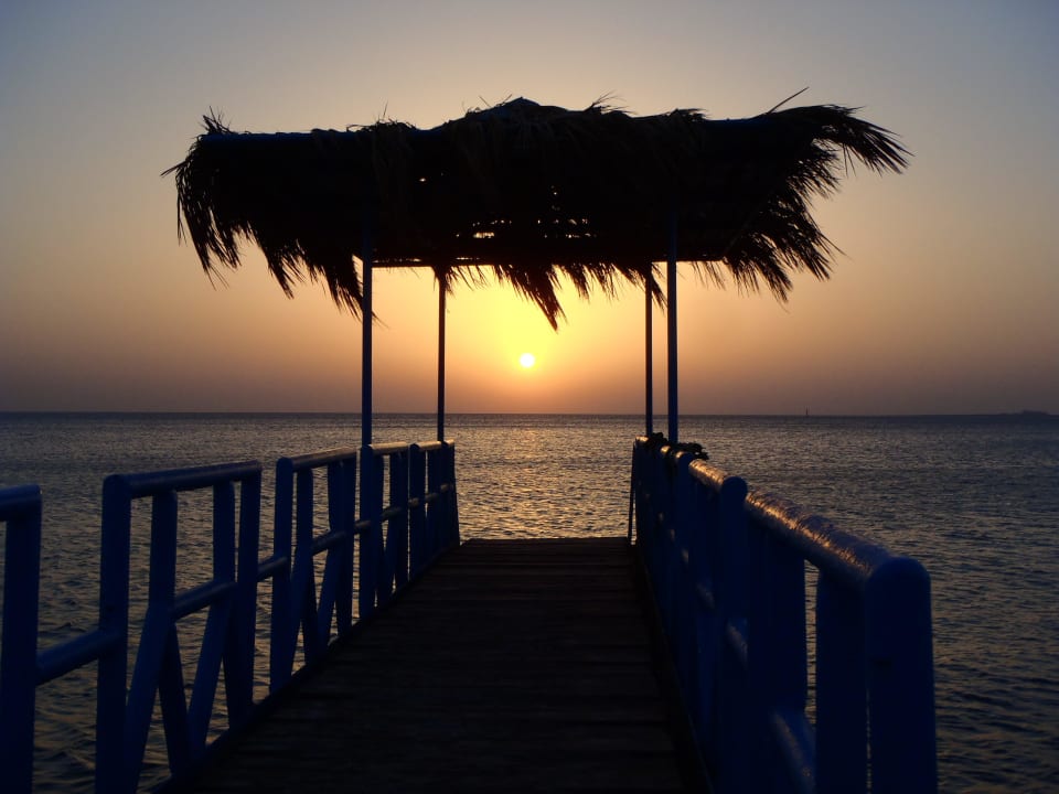 Steg Menaville Safaga