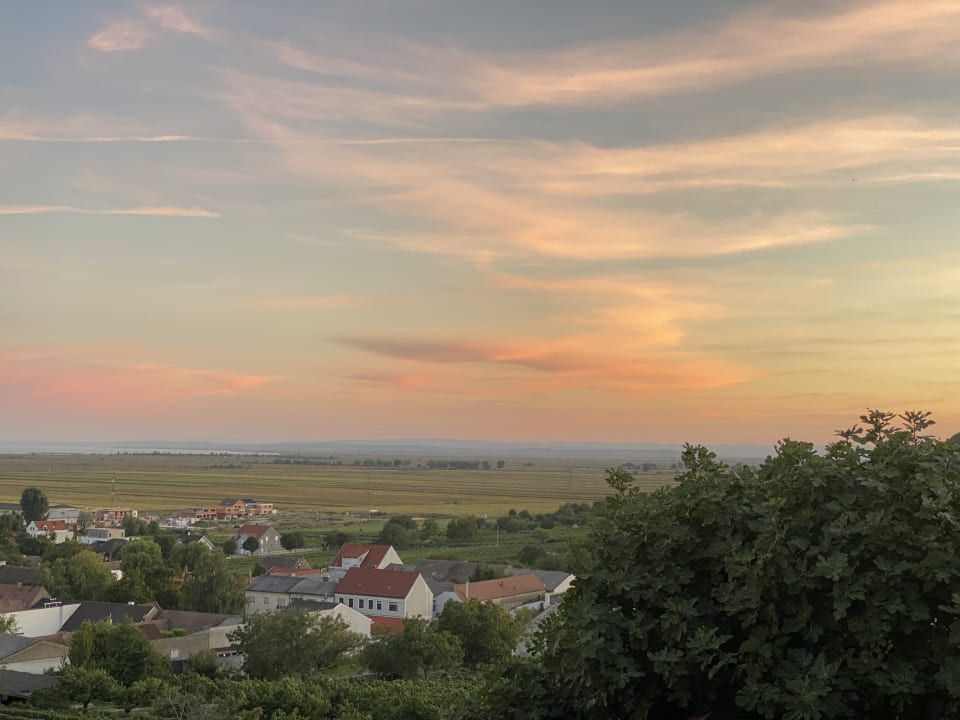 Ausblick Weingut & Gästehaus zum Seeblick - Familie Sattler