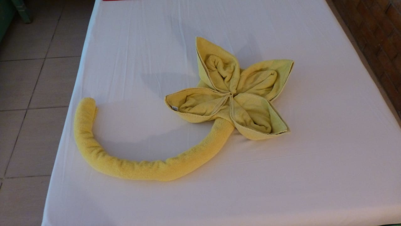 Hübsche Deko auf dem Bett Giftun Azur Resort