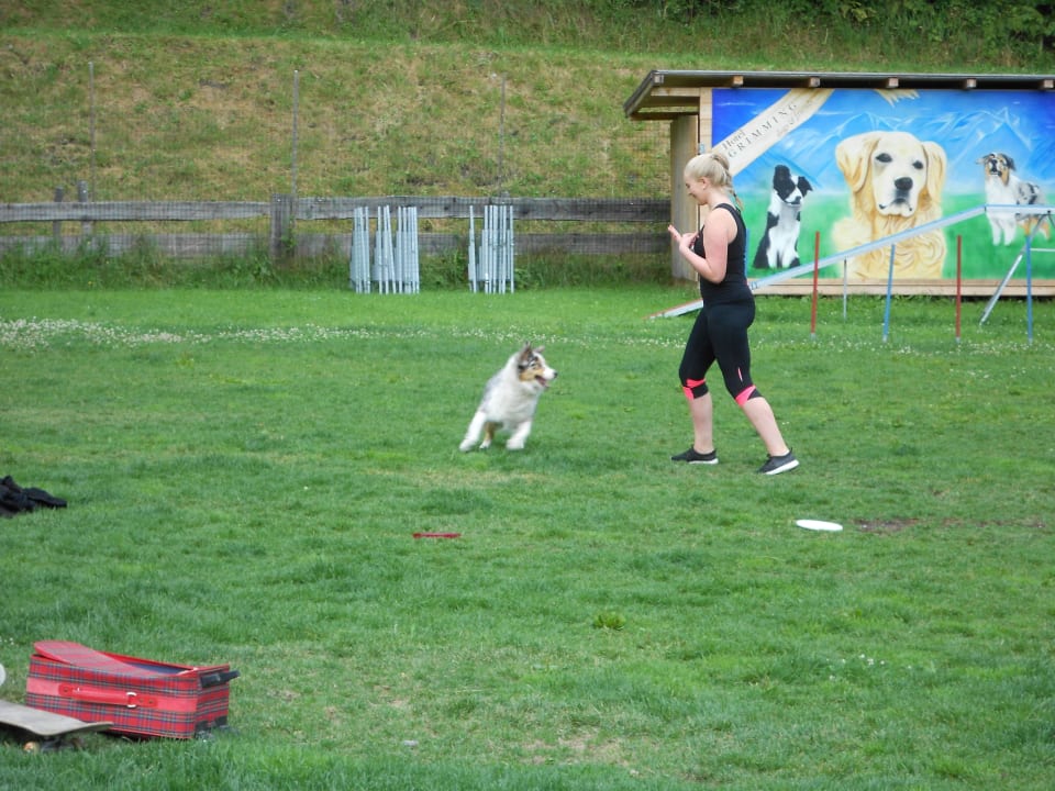 Hundetraining mit der Tochter des Hauses  Hotel Grimming