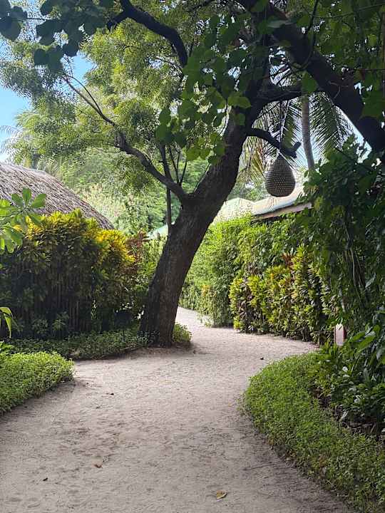 Gartenanlage Komandoo Island Resort & Spa - Adults only