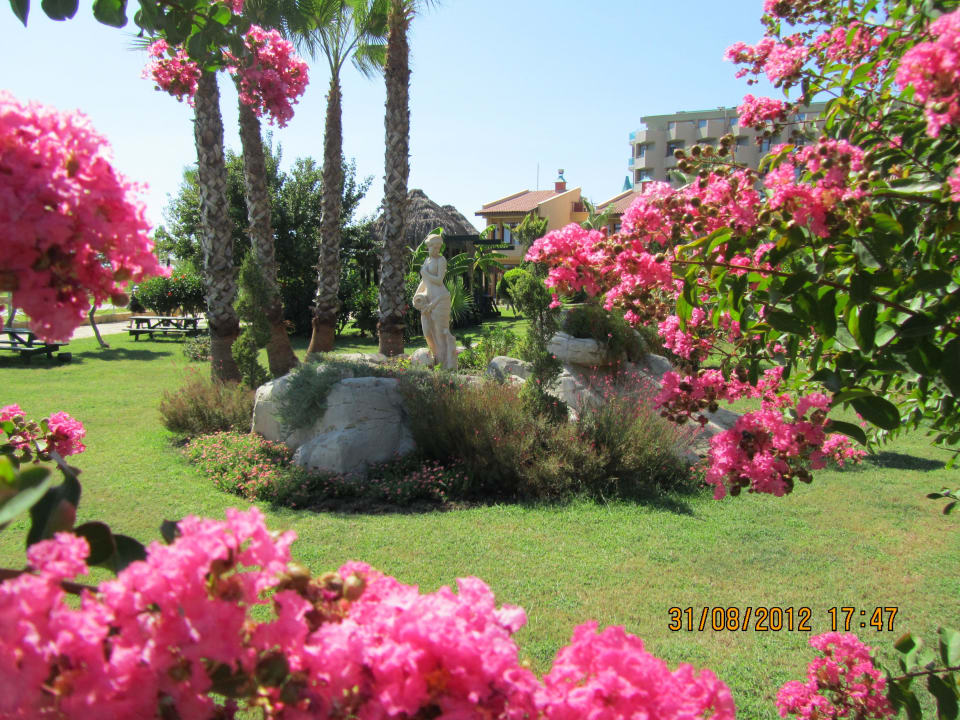 Сад Bella Resort & Spa