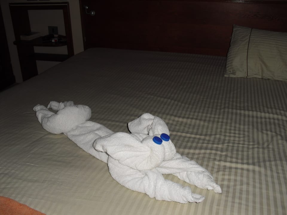 Zimmer Grand Waterworld Makadi & Family Star Makadi