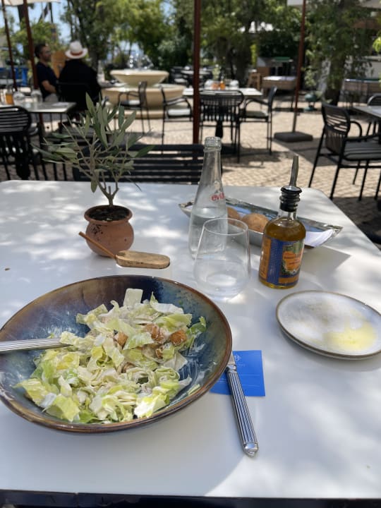 Gastro Grand Hyatt Cannes Hotel Martinez