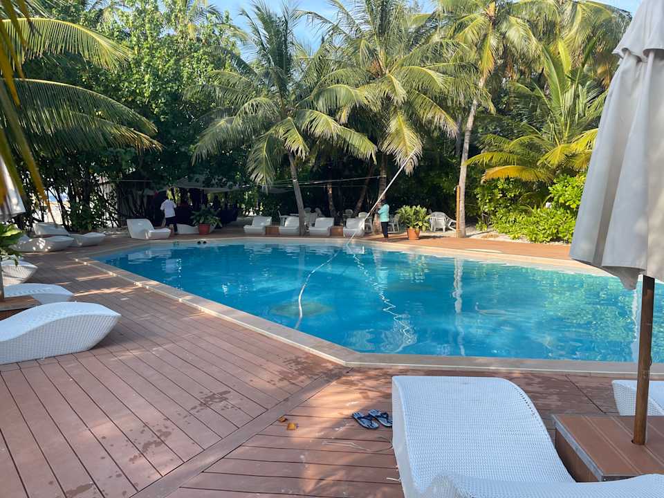 Pool Safari Island Maldives