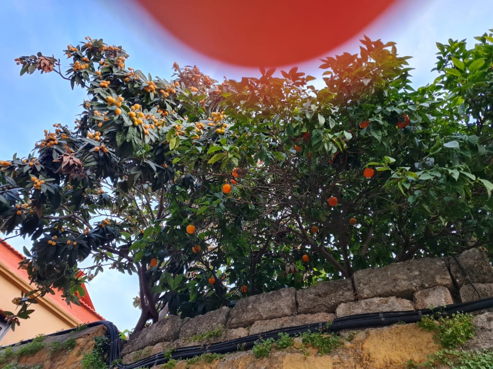 Außenansicht Kresten Palace Hotel