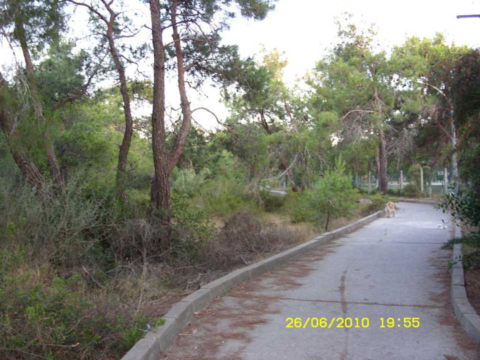 Weg zum Strand Hotel Mari