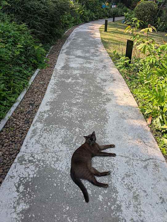Sonstiges SYLVAN Koh Chang