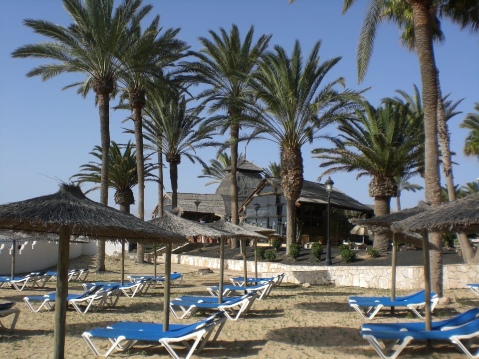 Strandbar Sbh Costa Calma Beach Resort Costa Calma Holidaycheck