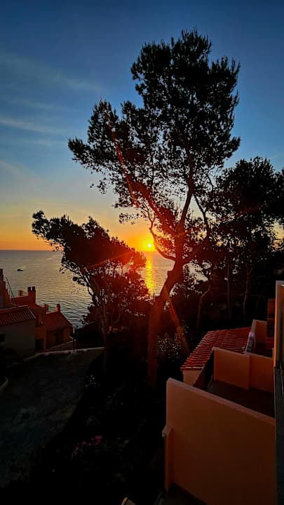 Ausblick Sentido Cala Verde