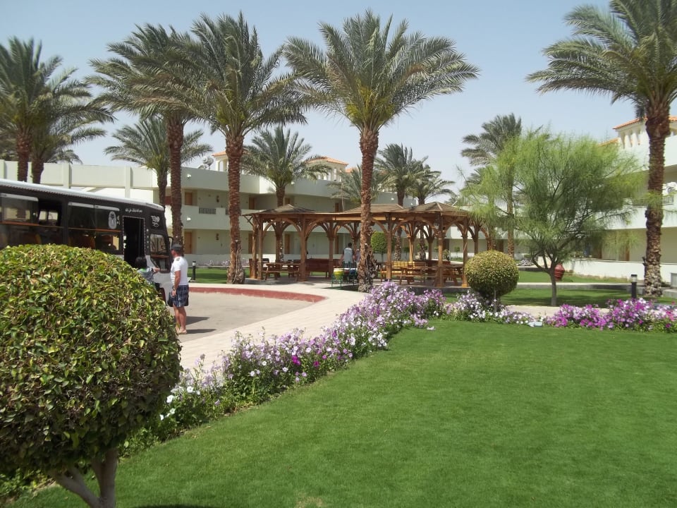 Bushaltestelle am Strand (Dana Beach) Pickalbatros Jungle Aqua Park Resort - Neverland Hurghada