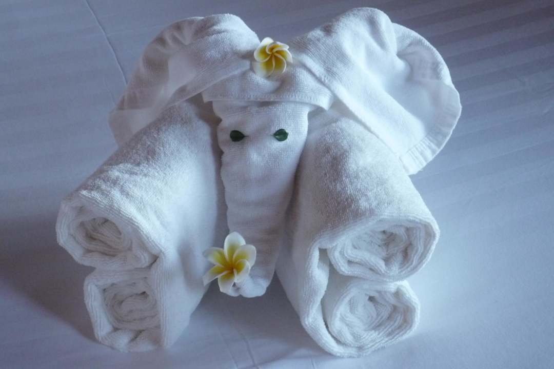 Handtuch-Blüten-Elefant Panviman Resort Koh Phangan