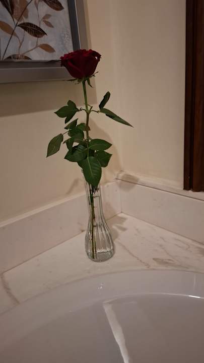 Zimmer Ajman Saray, a Luxury Collection Resort