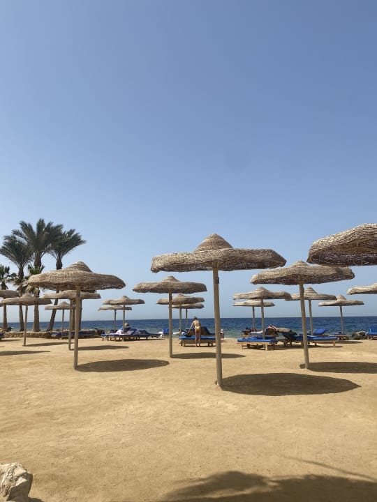 Strand Pickalbatros Citadel Resort