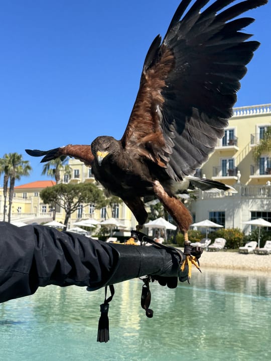 Sonstiges Domes Lake Algarve, Autograph Collection