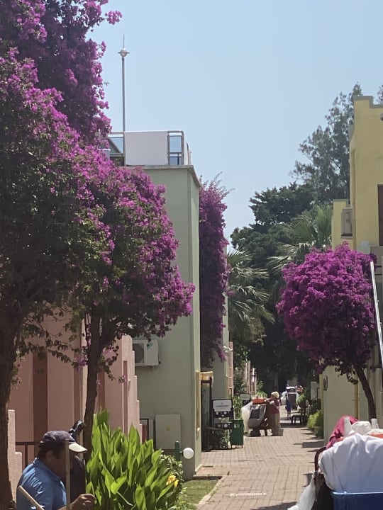 Gartenanlage VONRESORT Golden Beach