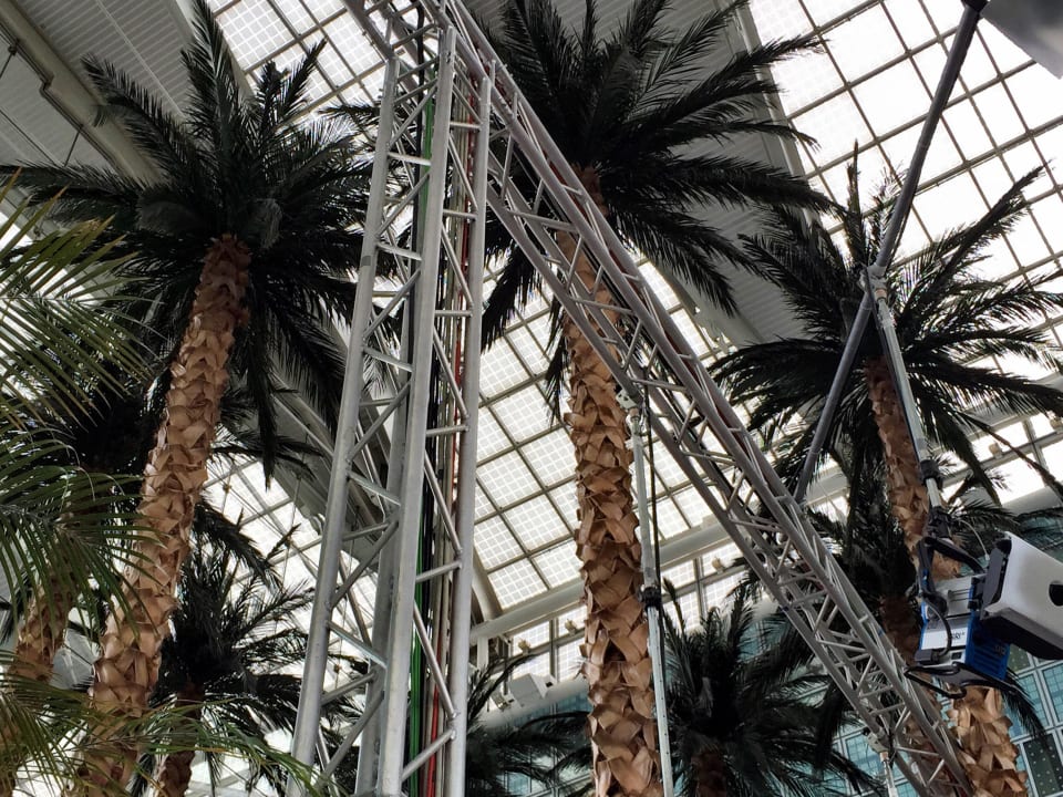 Lobby Palm Trees Hilton Munich Airport